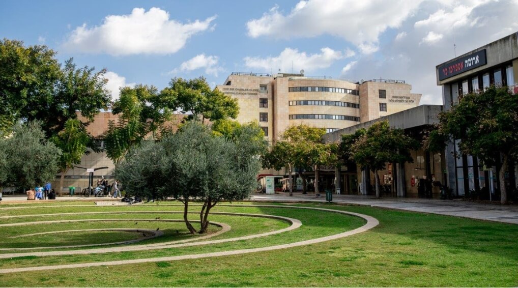 An incredible 50% of doctors from Sheba Medical Center were on the top Forbes ranking of the best Israeli doctors.