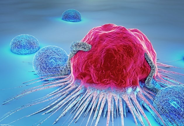 3d illustration of lymphocytes and a latched cancer cell.